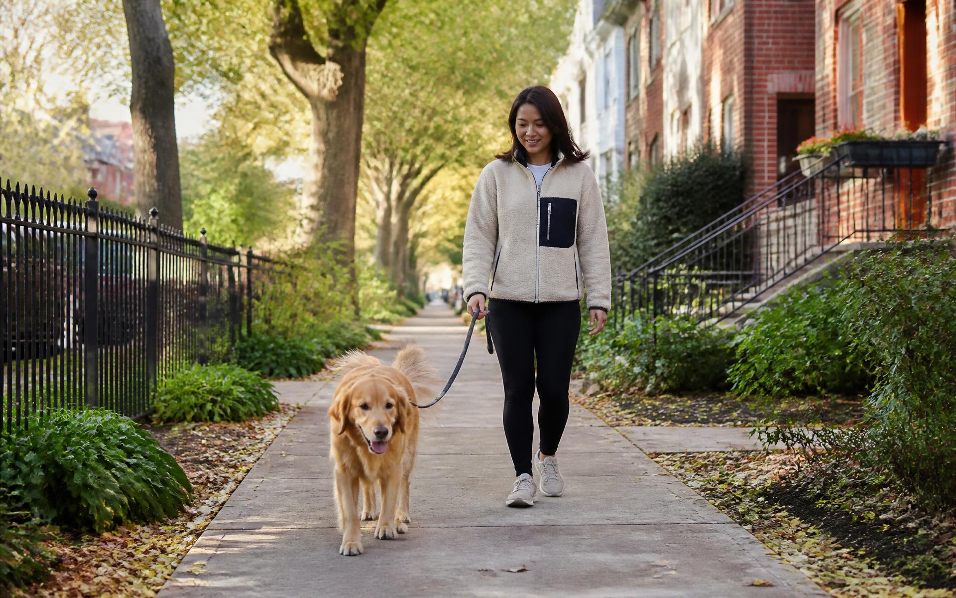 A dog walking along a paved greenway trail near Cotswold